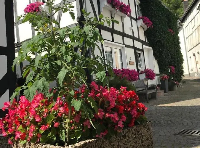 Ferienapartment: An Der Kunstakademie * هيمباخ